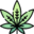 Daily Stash Cannabis
