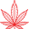Consumers Cannabis