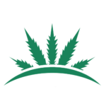 Bean Cannabis Shop