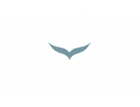 Oceanic Cannabis & Coffee - St John's