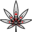 The Kure Cannabis Society