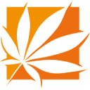 Holland Daze Cannabis