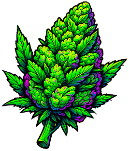 Hi Cannabis
