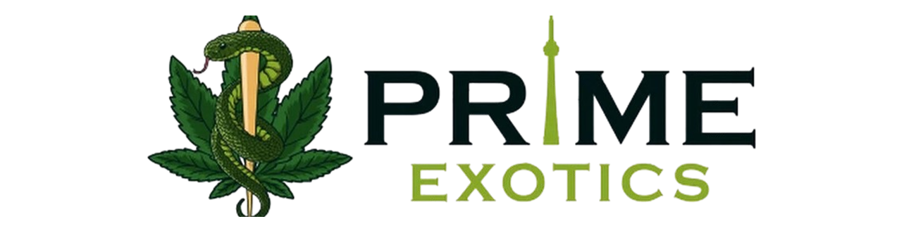 Prime Exotics