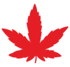 Canna North Ottawa
