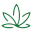 Dragon's Peak Cannabis
