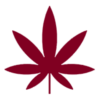 Budville Cannabis