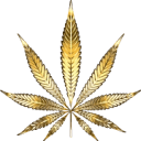 Coughy Shop Dispensary