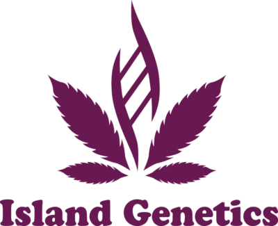 Craft Greenery Cannabis