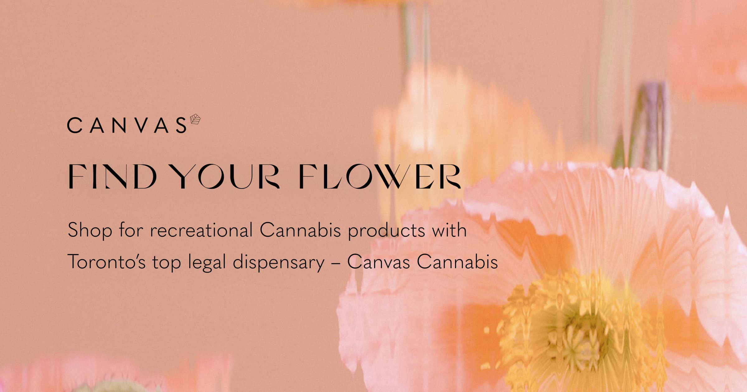 Canvas Cannabis - Toronto